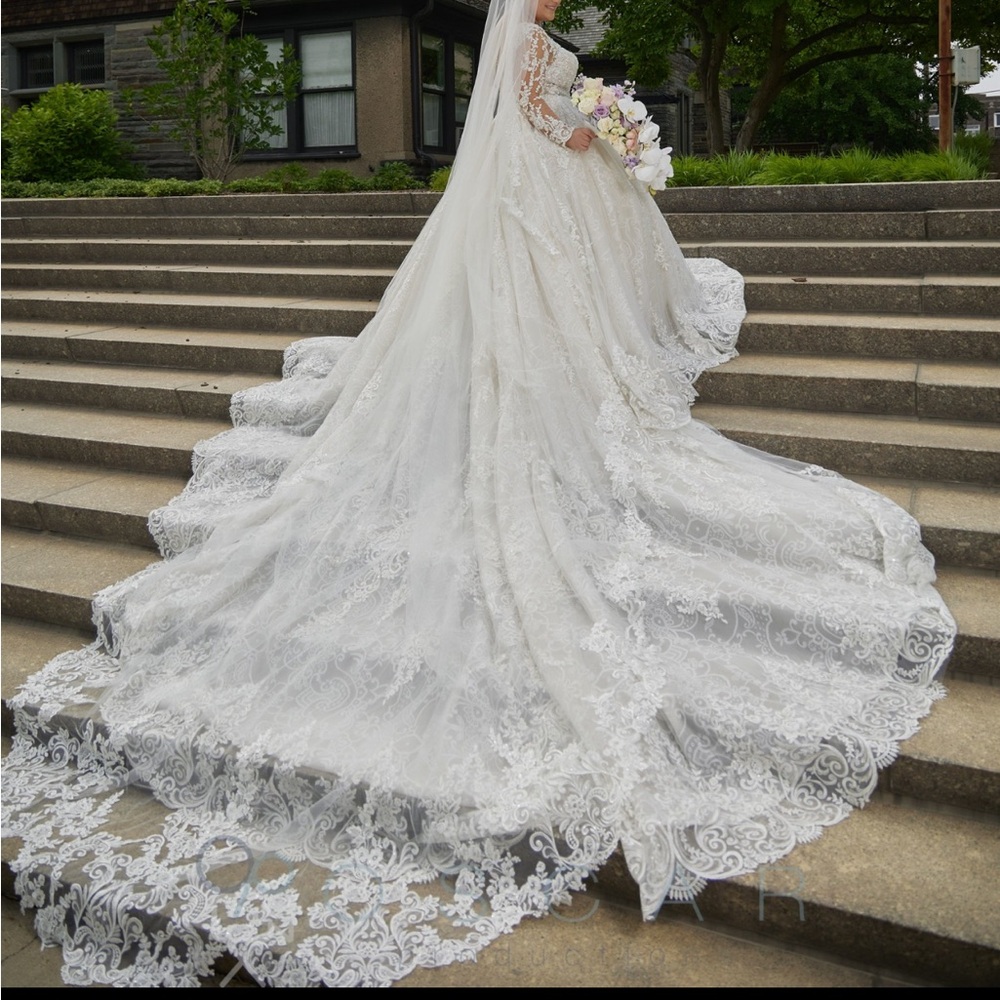 Custom platinum by Demetrios wedding gown